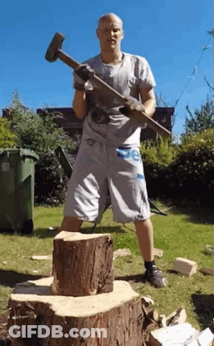 Man In De Shorts Holding Hammer Over Tree Stump GIF