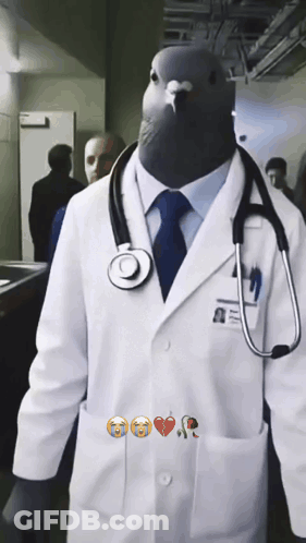 Man In Doctor Costume With Pigeon On Head GIF
