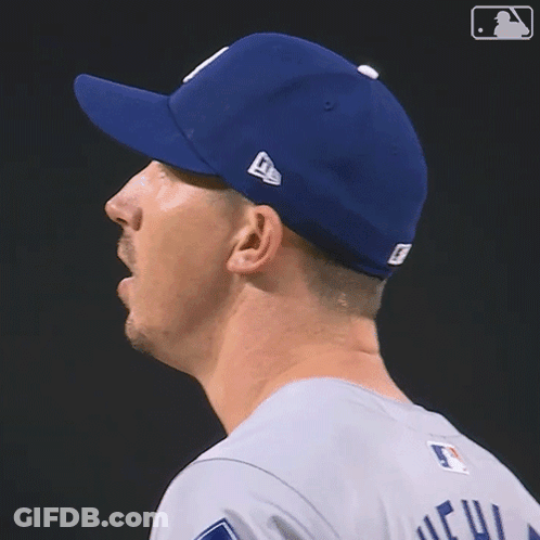 Man In Dodgers Hat And Jersey GIF