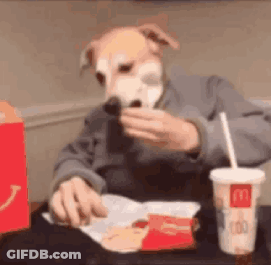 Man In Dog Mask Eating McDonald's Meal GIF