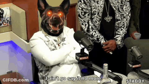 Man In Dog Mask Says I Ain't Go Say It No More GIF