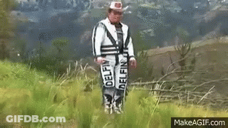 Man In Dolphin Outfit Standing In Field GIF
