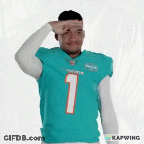 Man In Dolphins Jersey Number 1 Saluting GIF
