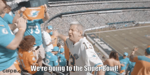 Man In Dolphins Jersey Says We're Going To The Super Bowl GIF