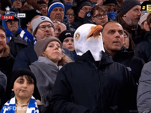 Man In Eagle Head Mask Watching Soccer Game At 39:23 GIF