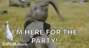 Man In Field With Duck Says I'm Here For The Party GIF