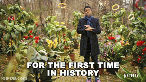 Man In Flower Garden Netflix GIF