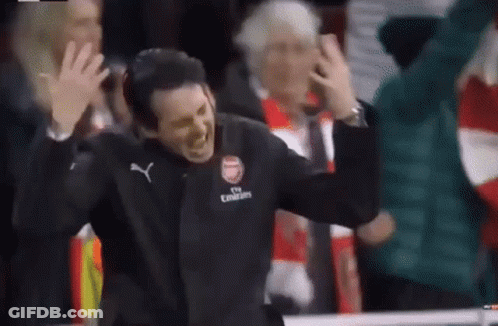 Man In Fly Emirates Jacket Before Crowd GIF
