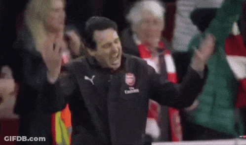 Man In Fly Emirates Jacket Standing In Front Of Crowd GIF
