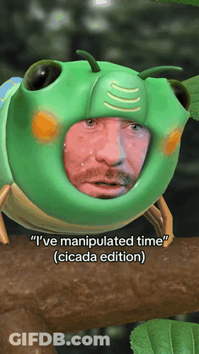 Man In Frog Costume Saying I Manipulated Time GIF