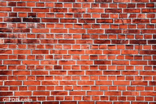 Man In Front Of Brick Wall Anime Rifts General Arguments GIF