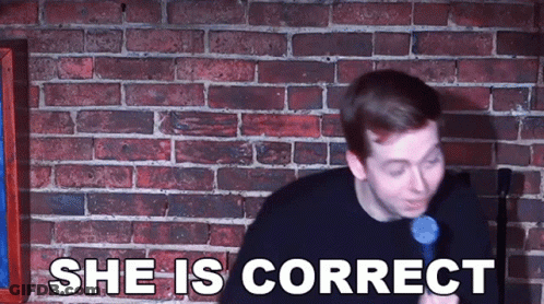 Man In Front Of Brick Wall Saying She Is Correct GIF