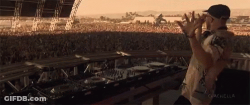 Man In Front Of Crowd Saying Coachella GIF