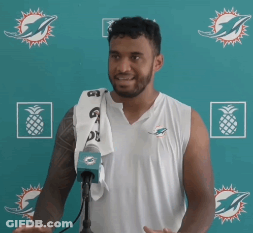 Man In Front Of Dolphins Backdrop GIF