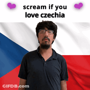 Man In Front Of Flag Saying Scream If You Love Czechia GIF
