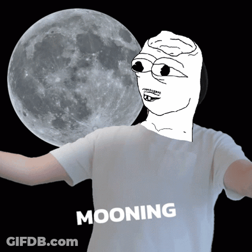 Man In Front Of Full Moon Saying Mooning GIF
