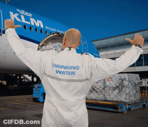 Man In Front Of KLM Plane GIF