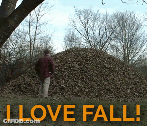 Man In Front Of Leaf Pile Saying I Love Fall GIF