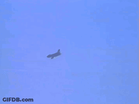 Man In Front Of Plane 403 GIF