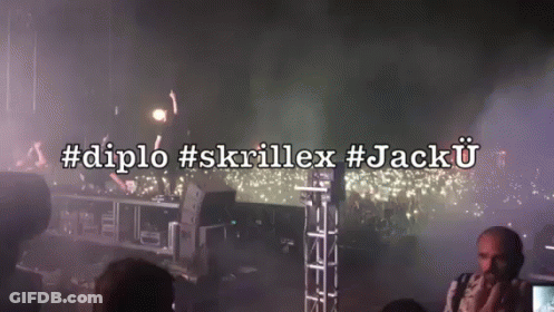 Man In Front Of Stage #Diplo #Skrillex #JackU GIF