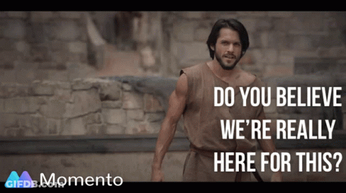 Man In Front Of Stone Wall Saying Do You Believe We're Really Here For This GIF