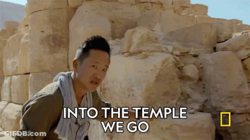 Man In Front Of Stone Wall Says Into The Temple We Go GIF