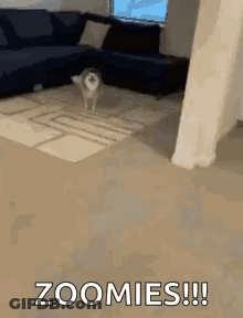Man In Front Of Viva Mexico Building GIF