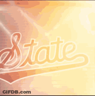 Man In Front Of Wall Saying State GIF
