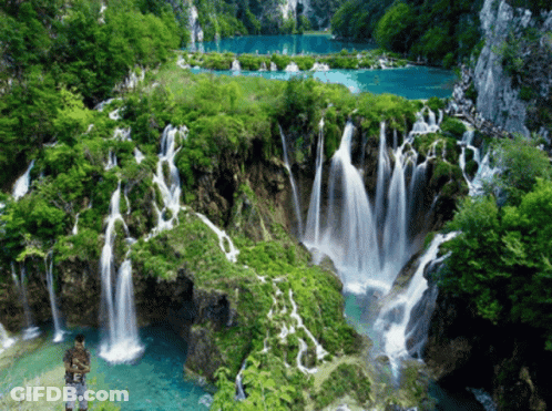 Man In Front Of Waterfall In Green Forest GIF