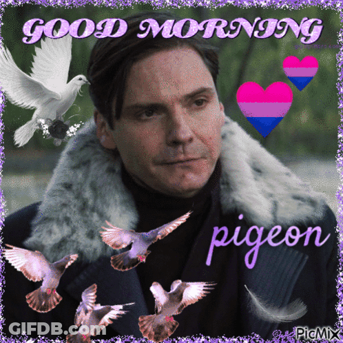 Man In Fur Coat Surrounded By Pigeons Good Morning Pigeon GIF