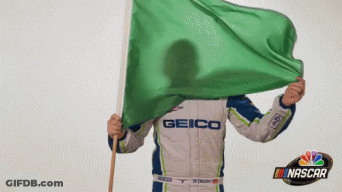 Man In Geico Uniform Holding Green Flag GIF