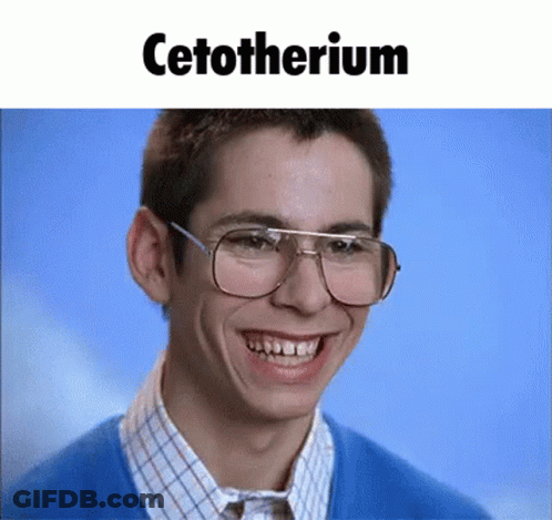 Man In Glasses And Blue Sweater Smiling With Cetotherium GIF