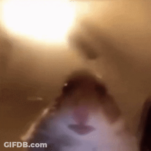 Man In Glasses And Hat In Front Of Yellow Sign Saying A GIF
