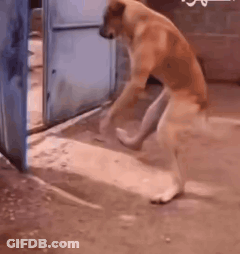 Man In Glasses And Tie With Great Miracles And Wonders GIF