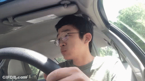 Man In Glasses Driving Car With Sun Visor GIF