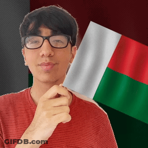 Man In Glasses Holding Flag In Front Of Green And Red Flag GIF