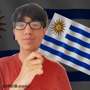 Man In Glasses Holding Flag With Smiling Sun GIF