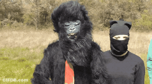 Man In Gorilla Costume Beside Woman In Cat Costume GIF