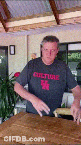 Man In Gray Shirt Saying Culture GIF