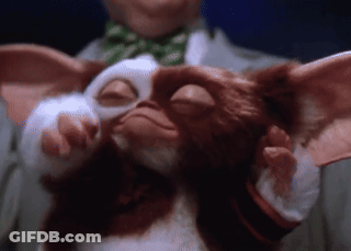 Man In Green Bow Tie Holding Gizmo GIF