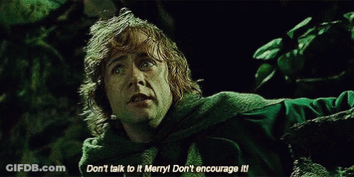 Man In Green Cape Says Don't Talk To It Merry Don't Encourage It GIF