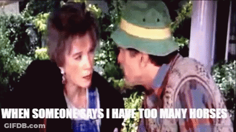 Man In Green Hat Talking To Woman Saying When Someone Says I Have Too Many Horses GIF