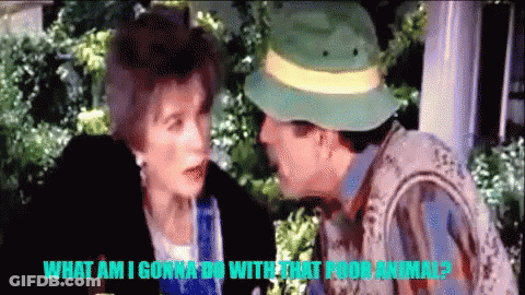 Man In Green Hat Talking To Woman With Caption What Am I Gonna Do With That Poor Animal GIF