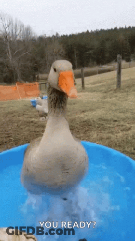 Man In Green Jacket 246 In Front Of Crowd GIF
