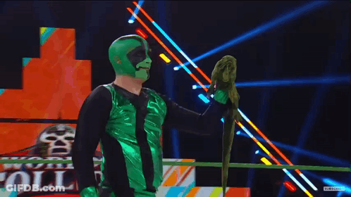 Man In Green Mask Holding Parrot GIF