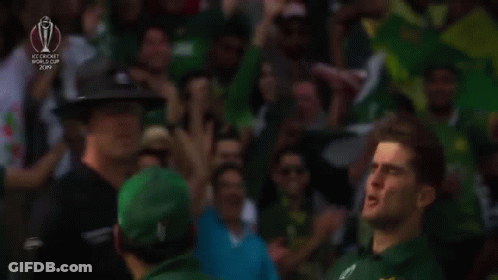 Man In Green Pakistan Jersey In Front Of Crowd GIF