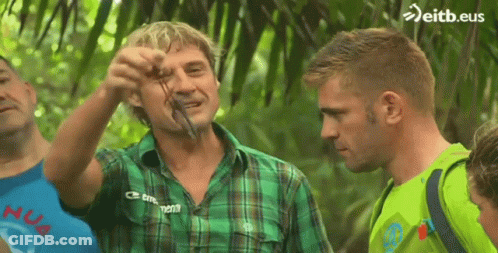 Man In Green Plaid Shirt Holding Snake GIF