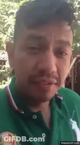 Man In Green Polo Shirt With White Horse GIF