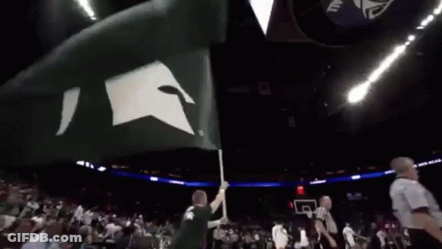 Man In Green Shirt Holding Spartan Flag GIF