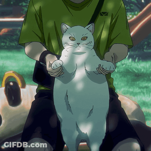 Man In Green Shirt Holding White Cat GIF